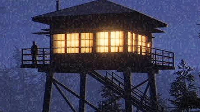 Dziwne odkrycie strażnika parku głęboko w lesie