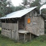 They assumed it was nothing more than a forgotten cabin deep in the woods — until they uncovered something far more unsettling beneath it ➤ Buzzday.info