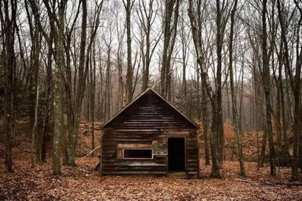 They assumed it was nothing more than a forgotten cabin deep in the woods — until they uncovered something far more unsettling beneath it