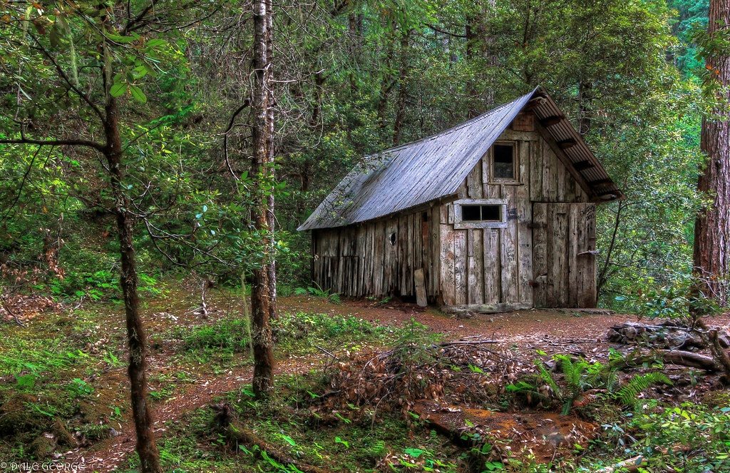 They assumed it was nothing more than a forgotten cabin deep in the woods — until they uncovered something far more unsettling beneath it