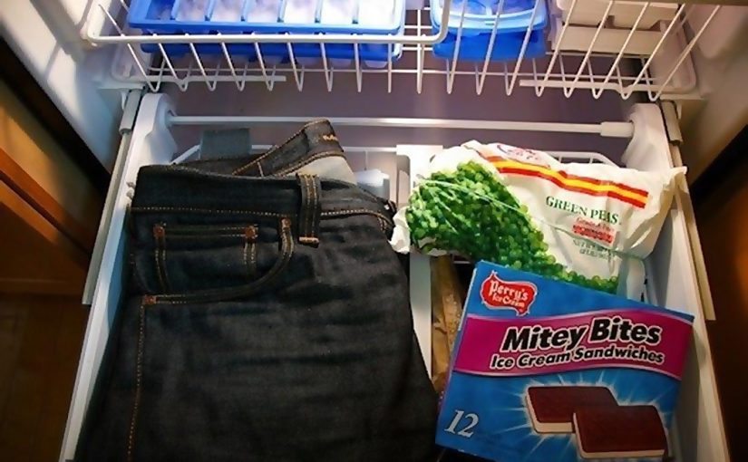 Wkłada parę dżinsów do zamrażarki na noc: zobacz, co się stanie następnego ranka ➤ Buzzday.info