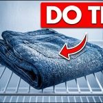 She puts a pair of jeans in the freezer overnight: see what happens the next morning ➤ Buzzday.info