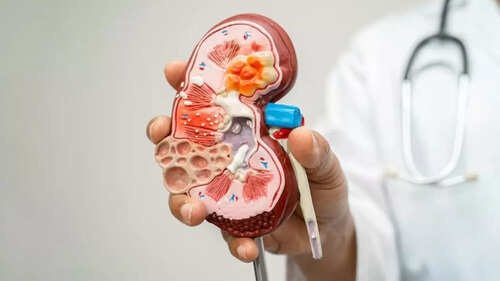 Habits that silently harm the kidneys