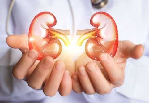 Habits that silently harm the kidneys