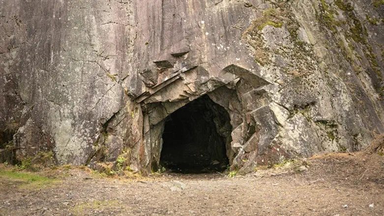 Kupił działkę swoich marzeń, ale wkrótce zdał sobie sprawę, co kryje się pod ziemią ➤ Buzzday.info