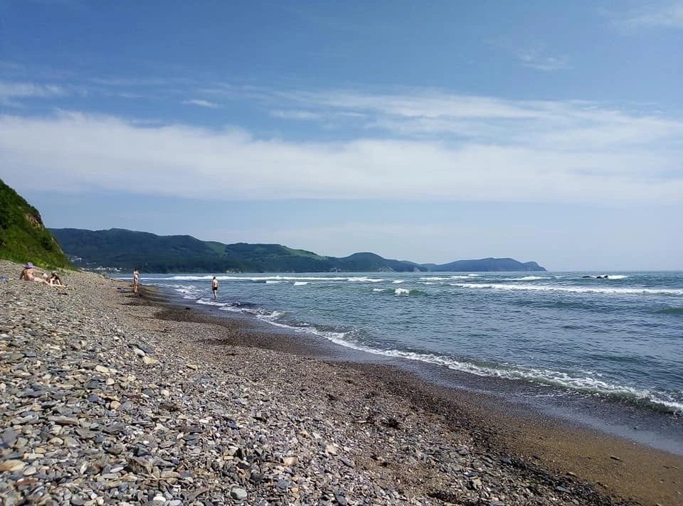 The Beach Find That Changed Everything Quietly