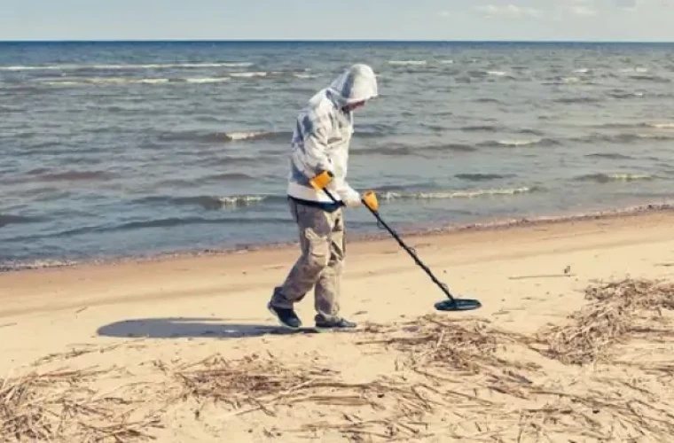 The Beach Find That Changed Everything Quietly