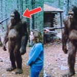 Hunter came across “Bigfoot” — DNA results stunned scientists ➤ Buzzday.info