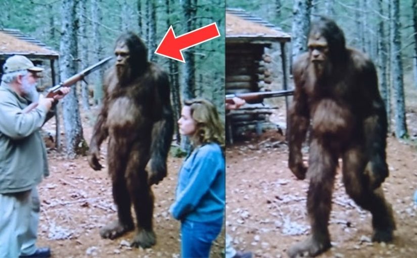 Hunter came across “Bigfoot” — DNA results stunned scientists ➤ Buzzday.info