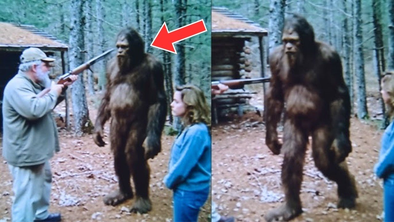 Hunter came across “Bigfoot” — DNA results stunned scientists ➤ Buzzday.info