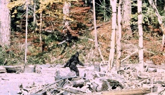 Hunter came across “Bigfoot” — DNA results stunned scientists
