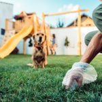 A man tired of his neighbors’ dogs turning his lawn into a toilet—and came up with a way to teach them a lesson ➤ Buzzday.info