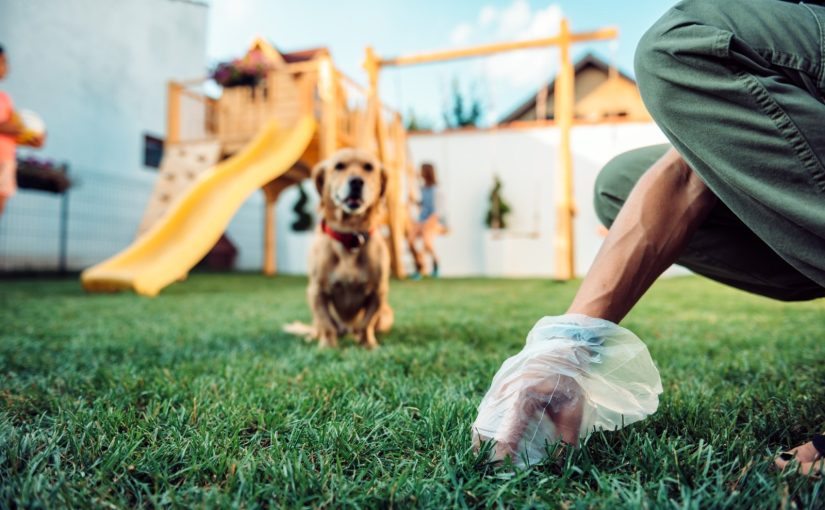 A man tired of his neighbors’ dogs turning his lawn into a toilet—and came up with a way to teach them a lesson ➤ Buzzday.info