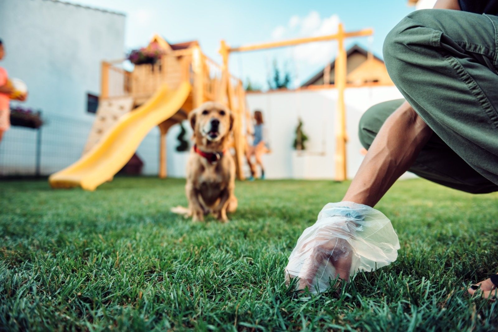 A man tired of his neighbors’ dogs turning his lawn into a toilet—and came up with a way to teach them a lesson ➤ Buzzday.info