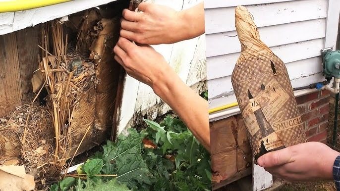 This man transformed an old whiskey vat into a unique home – discover this extraordinary dwelling