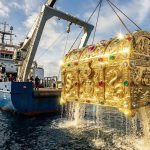 A fisherman discovered sunken gold at sea, but an unfortunate mistake cost him $4 million ➤ Buzzday.info