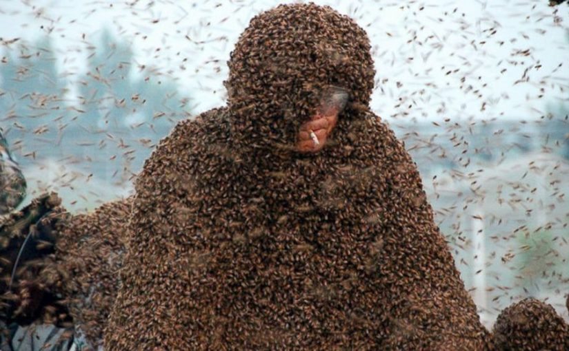 Thousands of bees swarmed a man and refused to fly away ➤ Buzzday.info