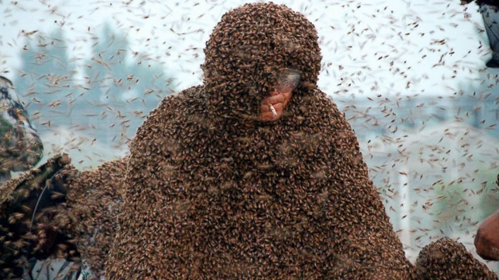 Thousands of bees swarmed a man and refused to fly away ➤ Buzzday.info