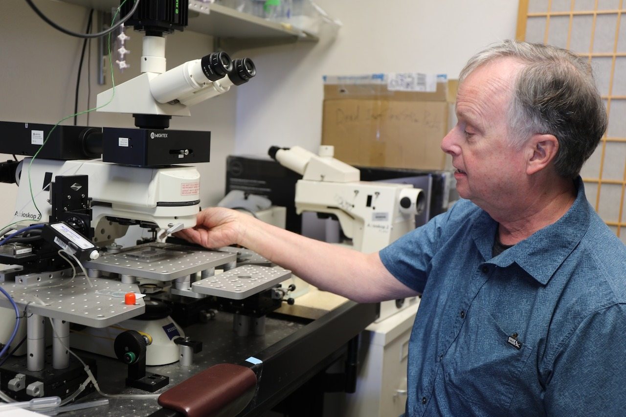 Scientists: Brain Scan Uncovers The Real Root Cause of Tinnitus (Ear Ringing)