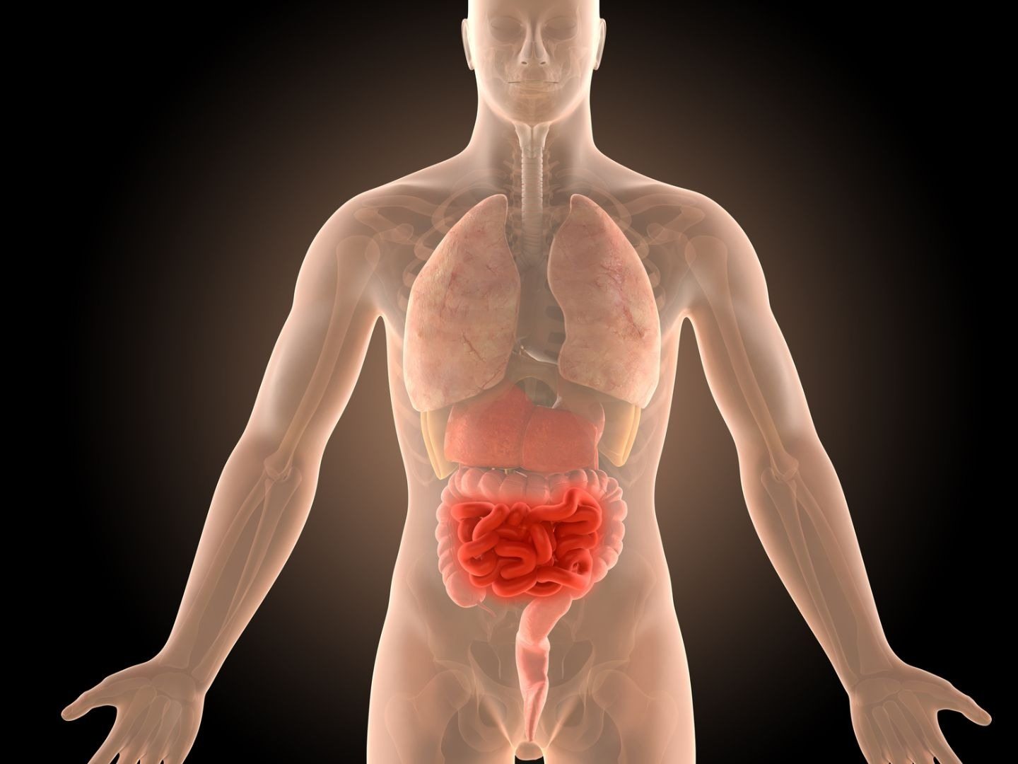 Silent Gut Distress: Early Signs of Crohn’s Disease & Ulcerative Colitis You Should Not Overlook