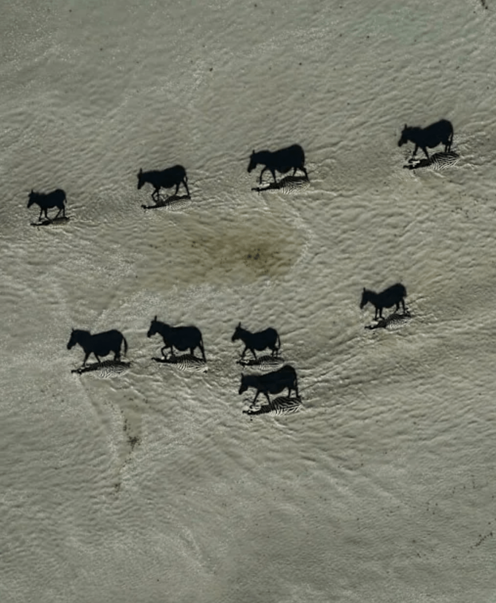 15 Photos That Trick Your Eyes So Perfectly You’ll Probably Have To Look Twice