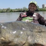Gigantic, 9.4-foot-long catfish is the largest ever caught ➤ Buzzday.info
