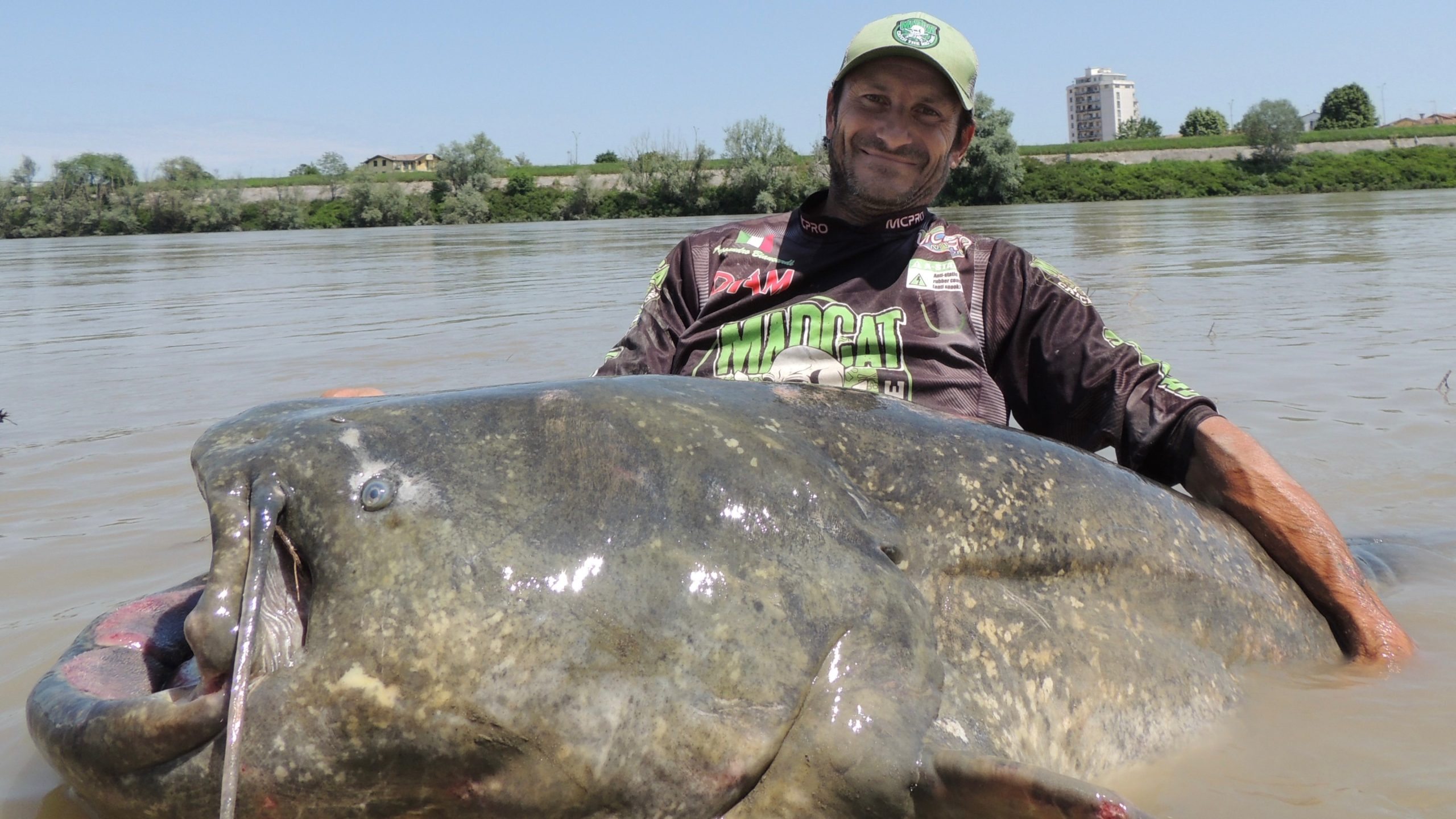 Gigantic, 9.4-foot-long catfish is the largest ever caught ➤ Buzzday.info
