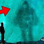 Una sagoma scura intrappolata all’interno di un iceberg ha portato a una scoperta straordinaria ➤ Buzzday.info