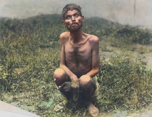 The short and tragic fate of Dina Sanichar, a boy who grew up among wolves and became the prototype for Mowgli