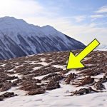 He Sent a Drone Over a Restricted Tibetan Mountain Range—The Discovery Left Him Speechless. ➤ Buzzday.info