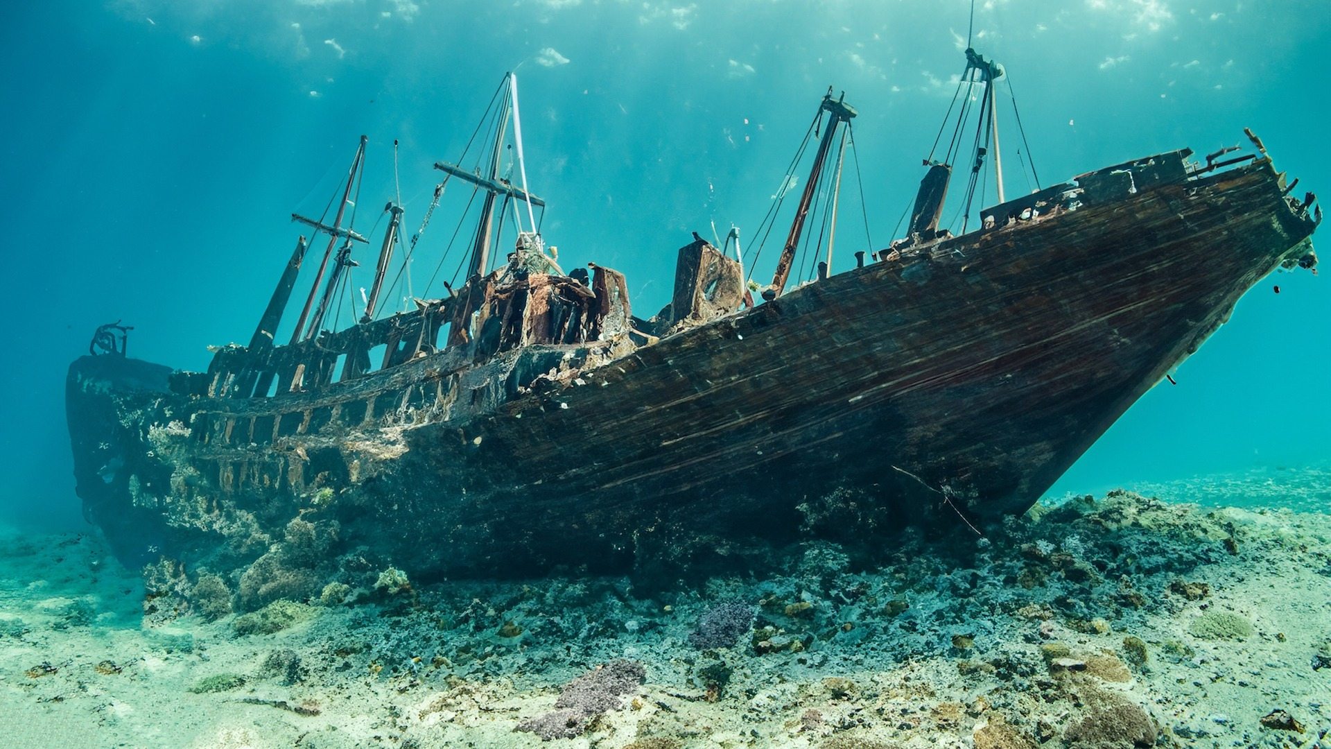 A perfectly preserved ship, over 2,400 years old, has been discovered on the bottom of the Black Sea ➤ Buzzday.info