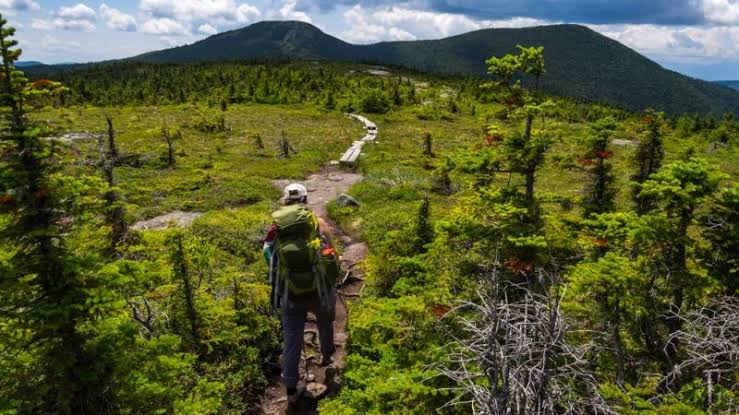 Hikers in the Appalachians discovered a strange cabin, completely covered in aluminum foil