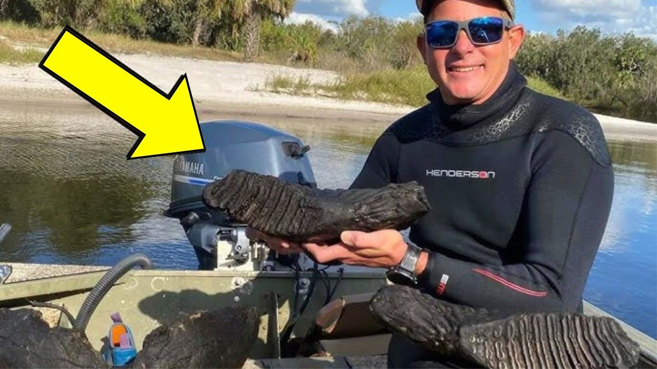 Florida Diver Thought He Found an Old Tree Trunk, Turns Pale When Experts Reveal What It Is ➤ Buzzday.info