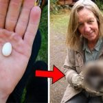She thought her hen had laid this tiny egg, but what hatched from it amazed her ➤ Buzzday.info