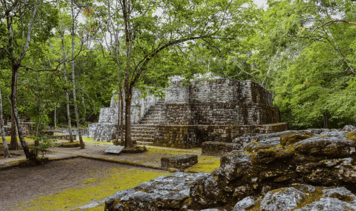 Znaleźli starożytne miasto pod dżunglą, ale to, co znaleźli pod spodem, zmusiło archeologów do ucieczki