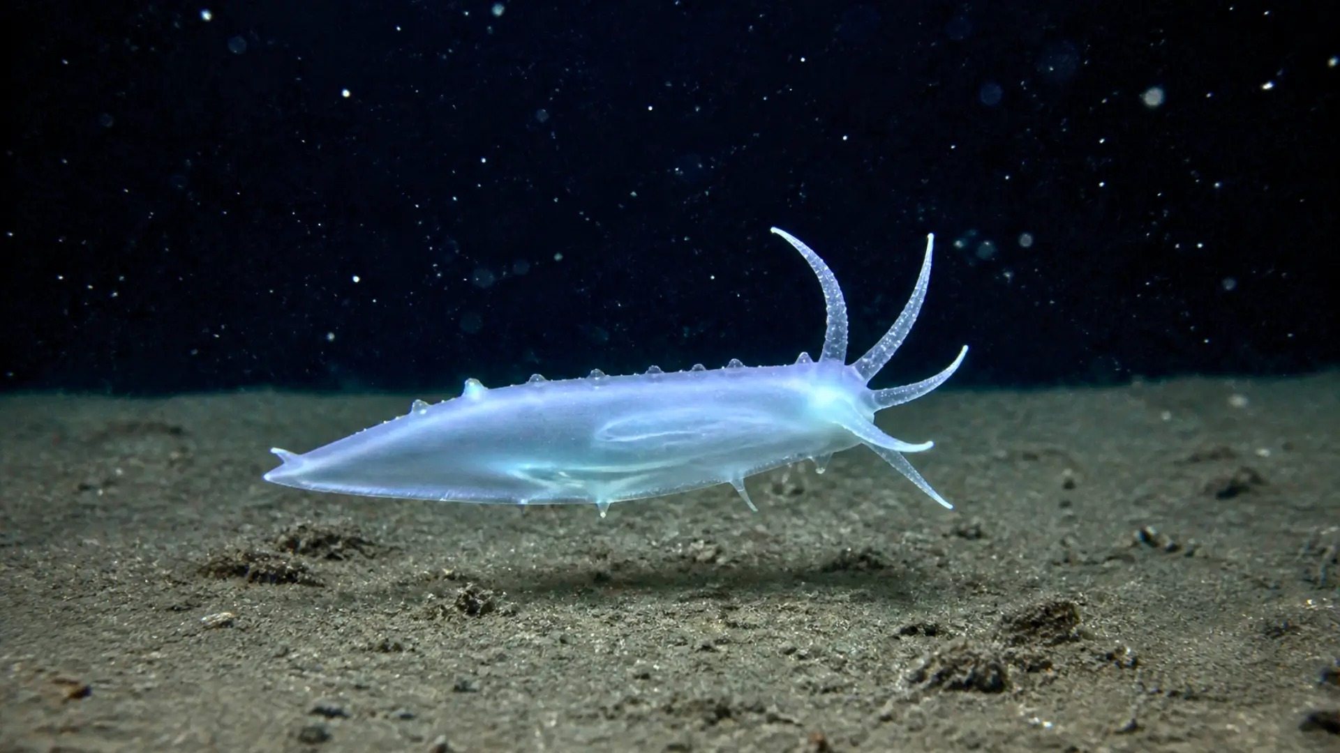 Scientists have discovered a mysterious creature at a depth of almost 10 kilometers