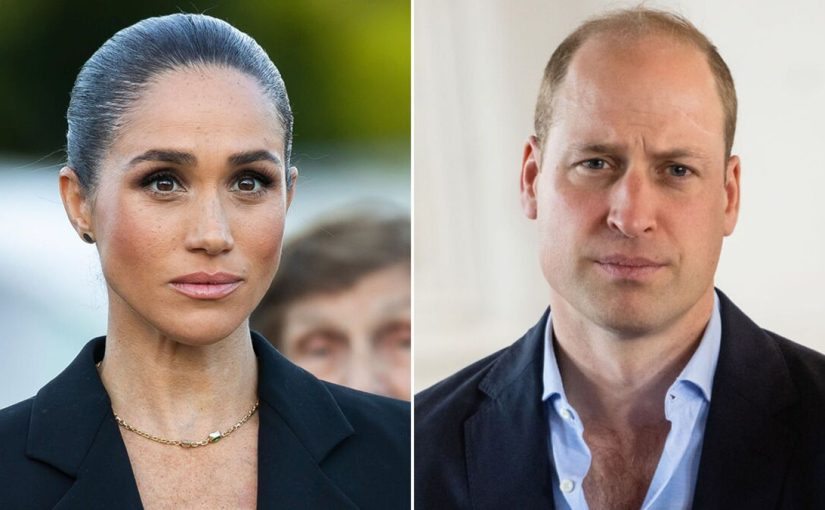 Meghan’s vulgar act at Diana’s sacred resting place vindicates Prince William’s suspicions ➤ Buzzday.info
