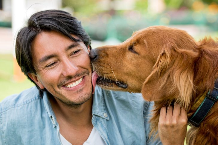 If Your Dog Is Over 7, Do This Every Night