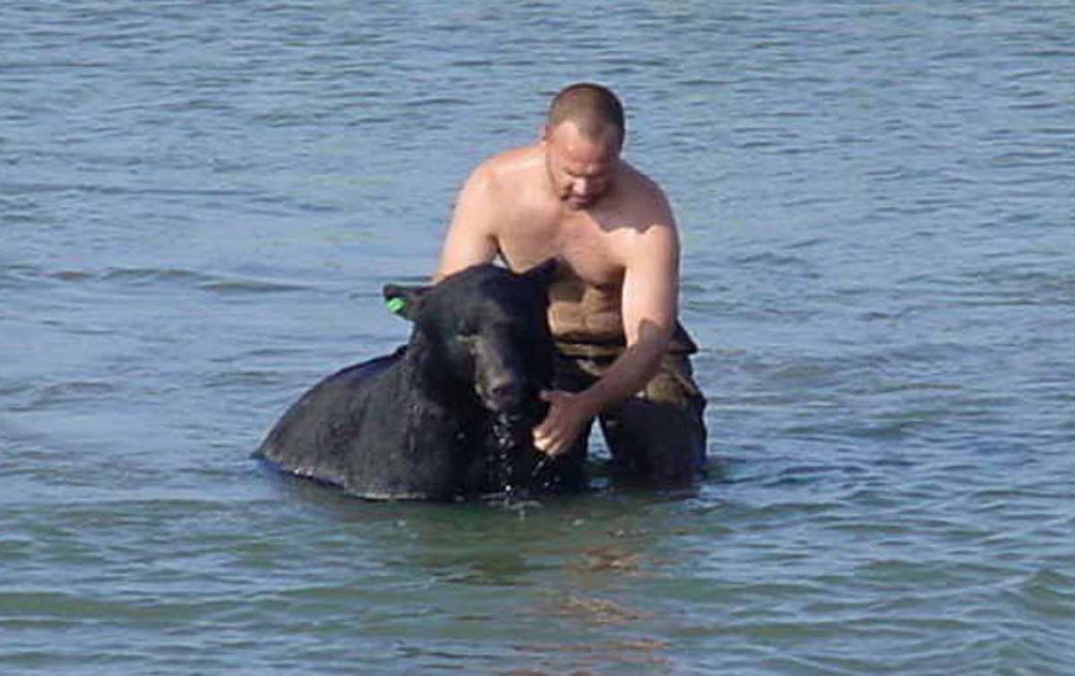 This bear was drowning in the ocean. You won’t believe what this bloke did