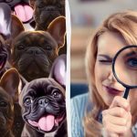 You’re a genius if you find the cat among the dogs – a test of your attentiveness! ➤ Buzzday.info