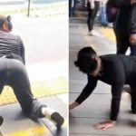 WIDEO: Therianie pojawiają się w metrze w Bogocie – Niezwykli pasażerowie szokują wszystkich ➤ Buzzday.info
