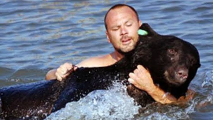 This bear was drowning in the ocean. You won’t believe what this bloke did