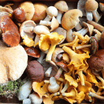 Mushrooms Costing More Than a Car: The World’s 5 Most Expensive Delicacies ➤ Buzzday.info
