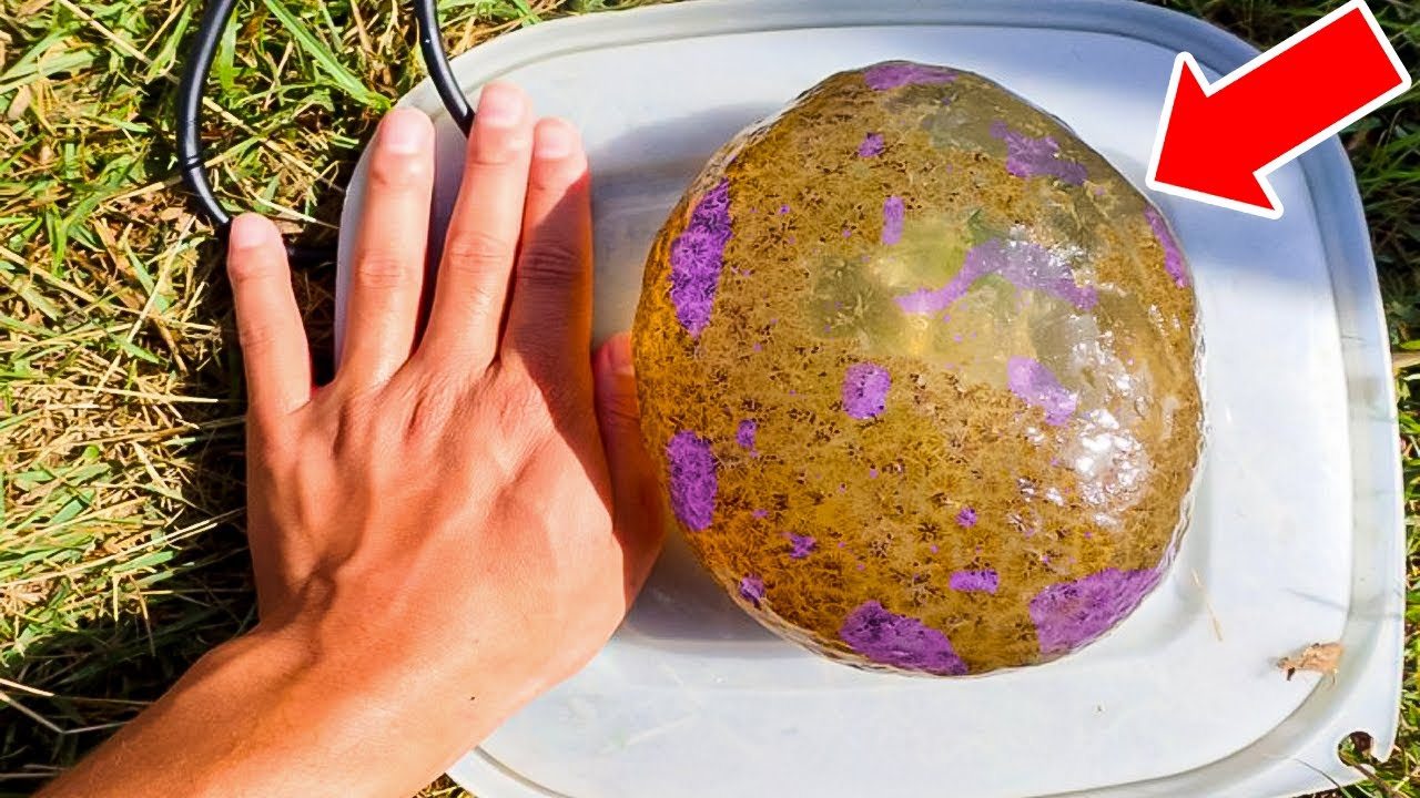 A girl found some strange eggs under her bed — the expert turned pale when he saw them
