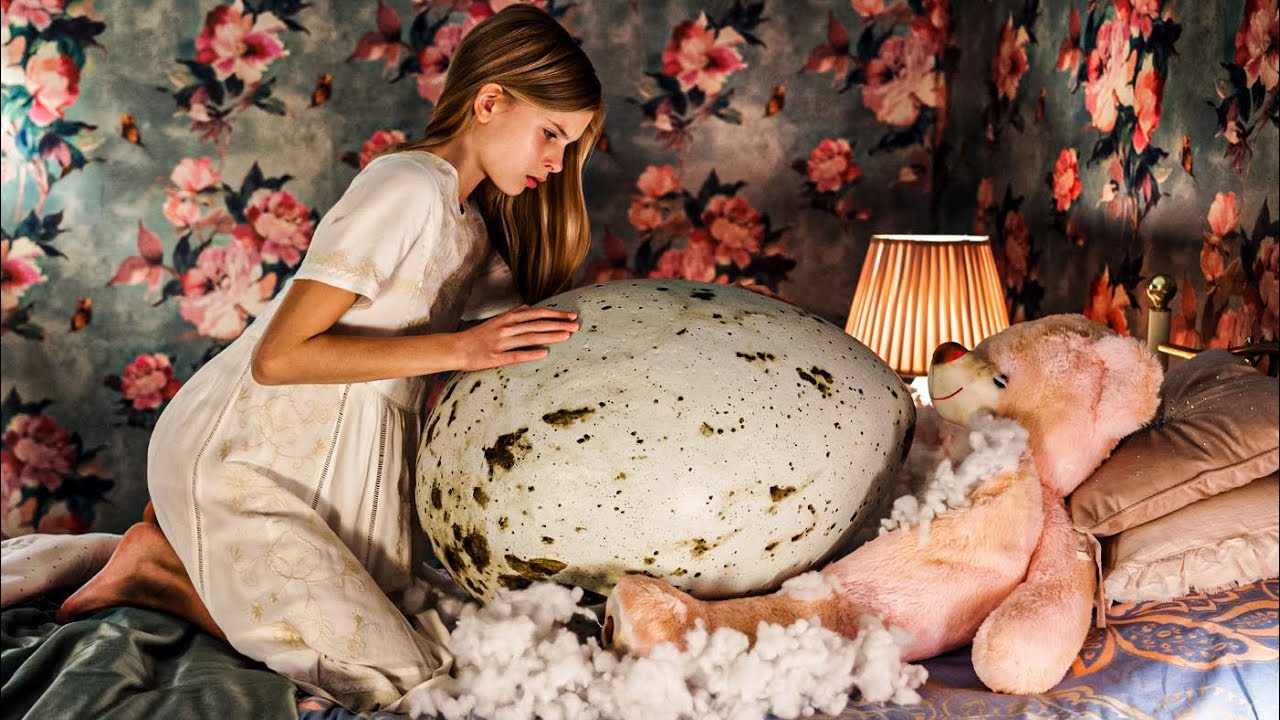 A girl found some strange eggs under her bed — the expert turned pale when he saw them