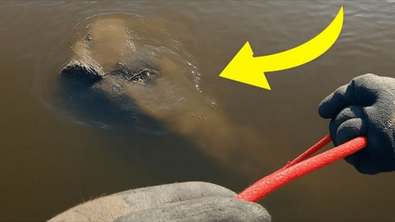 A Boy Found a Rope In The Lake, But When They Pulled It, a Man Shouted to Stop ➤ Buzzday.info