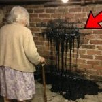 Woman Finds Black Liquid in Cellar Wall – Looks Behind It and Calls Her Lawyer! ➤ Buzzday.info