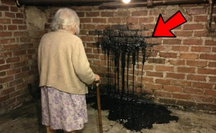 Woman Finds Black Liquid in Cellar Wall – Looks Behind It and Calls Her Lawyer! ➤ Buzzday.info