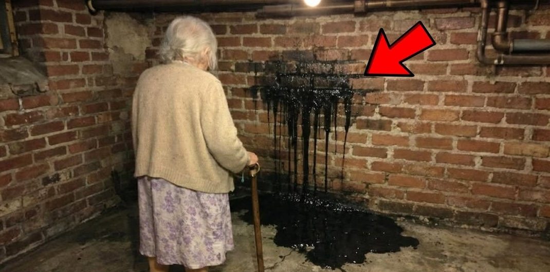 Woman Finds Black Liquid in Cellar Wall – Looks Behind It and Calls Her Lawyer! ➤ Buzzday.info
